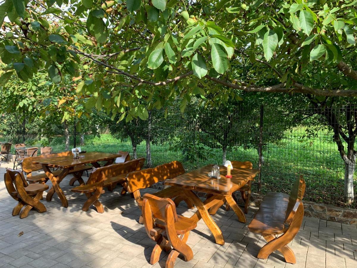 Hanu Lui Gica Spa Satu Mare Exterior foto
