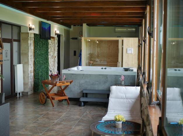 Hanu Lui Gica Spa Satu Mare Exterior foto