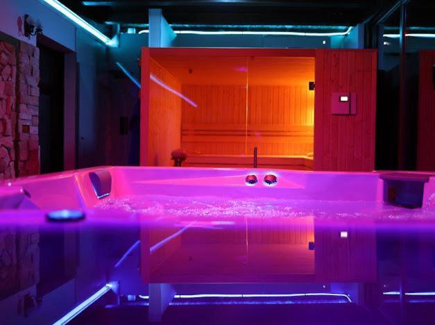 Hanu Lui Gica Spa Satu Mare Exterior foto