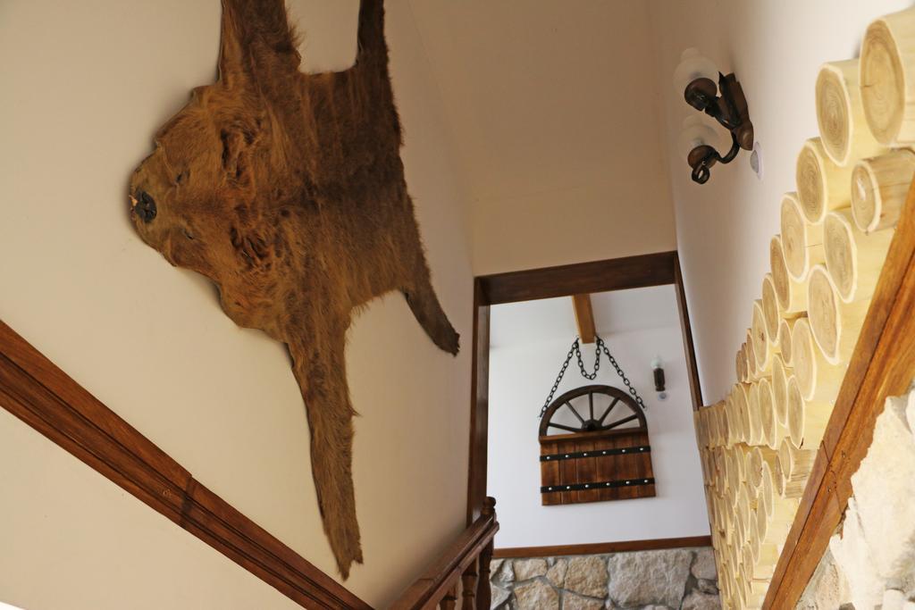 Hanu Lui Gica Spa Satu Mare Exterior foto