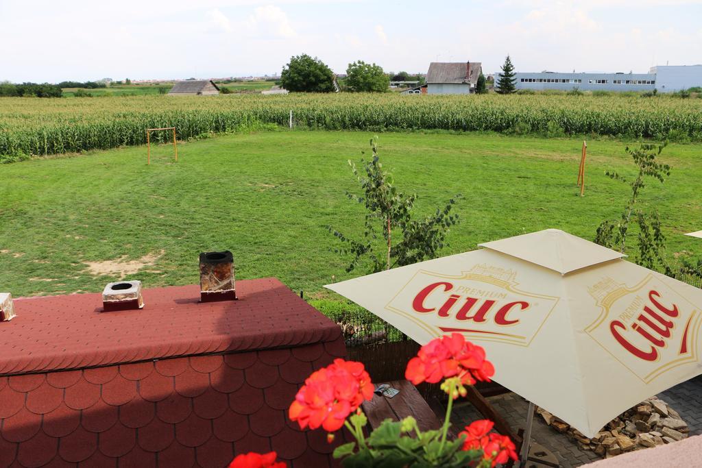 Hanu Lui Gica Spa Satu Mare Exterior foto